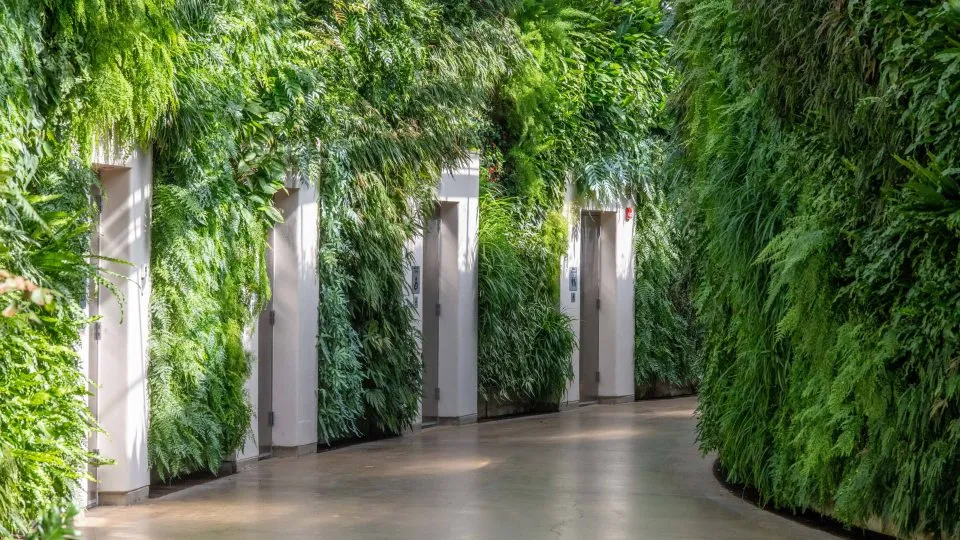 Cement wall with plants or green wall